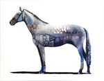 Shai Dahan - The Graff Equestrian II